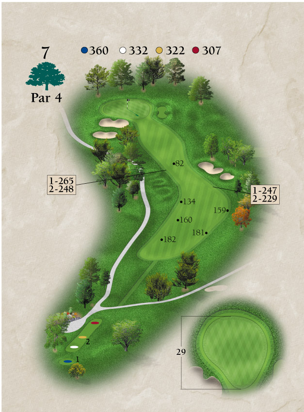 Layout for Hole Number 7