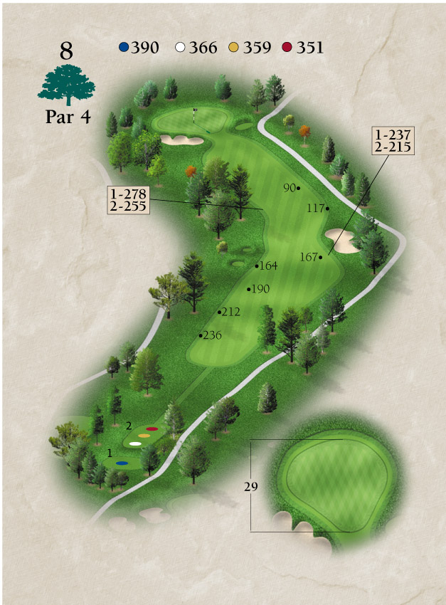 Layout for Hole Number 8