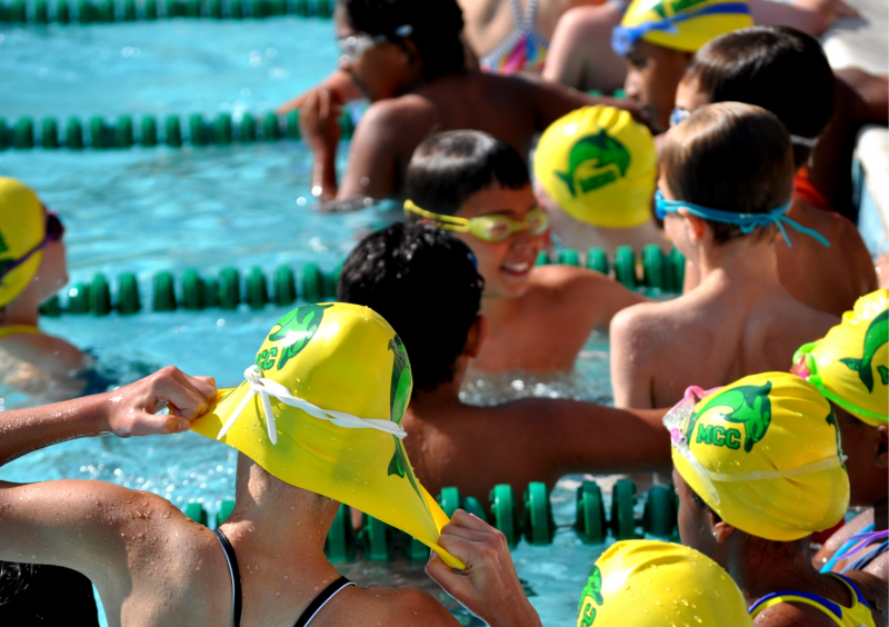 Swim Team Dolphins